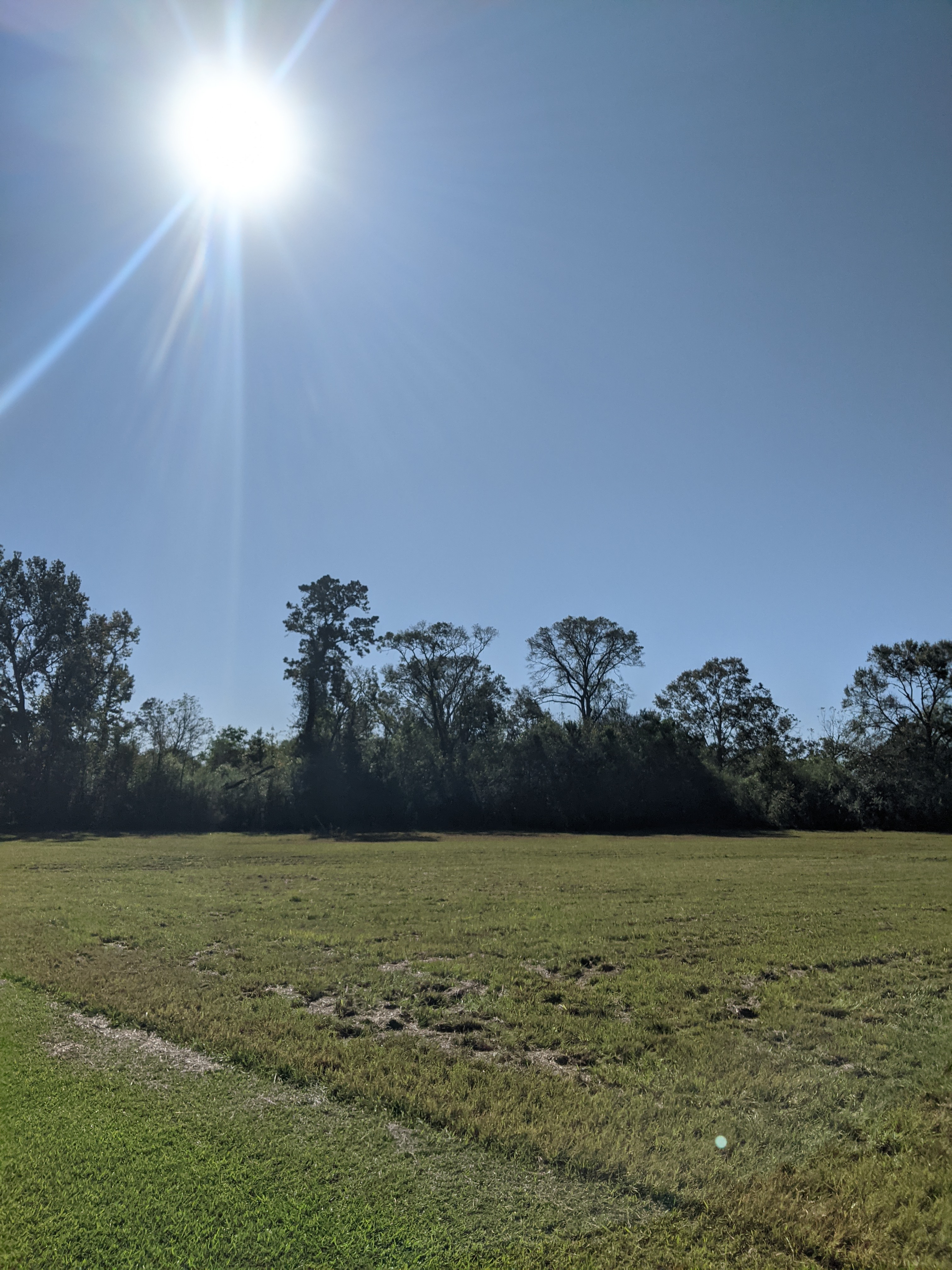 4.54 Acres Vacant Land,  Mixed Use, Residential and/or Commercial